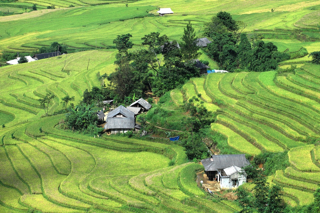 Cách cúng Rằm tháng 2 năm 2026 chuẩn phong tục để gặp may mắn