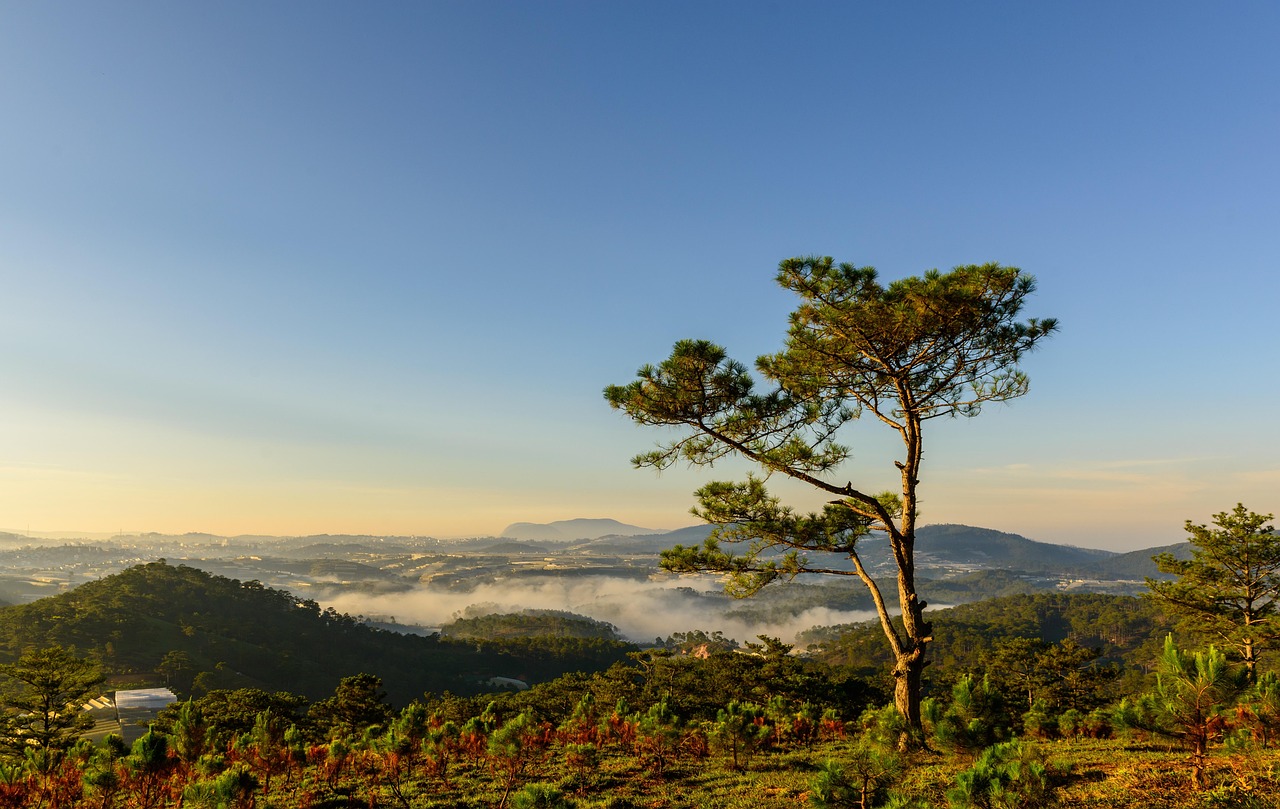 Vận mệnh người sinh tháng 3 âm lịch năm 2026 và lưu ý khi đặt tên