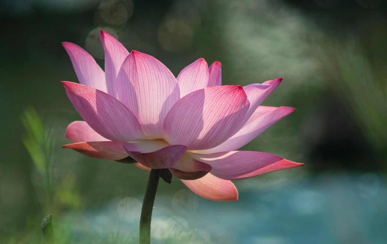 Lịch cắt tóc tháng 3 năm 2026: Chọn ngày tốt đón tài lộc, bỏ xui xẻo