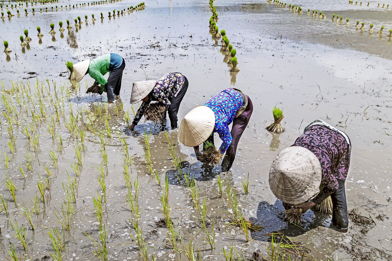 Ngày Vía Quan Âm 2026: Lịch Chi Tiết, Ý Nghĩa và Cách Cầu An Chuẩn