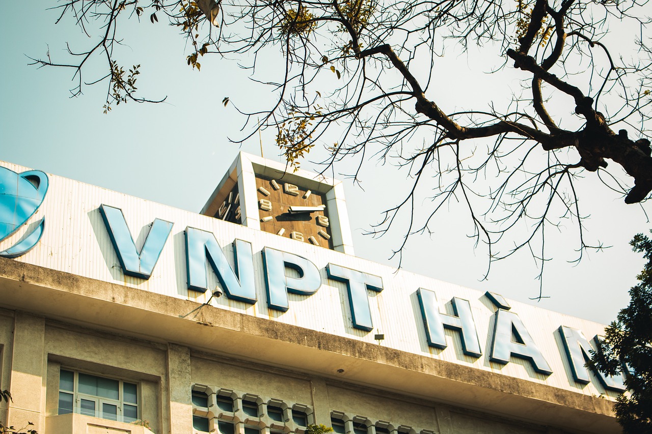 Cây cảnh phong thủy trước nhà năm 2026: Rước tài lộc, đuổi vận xui