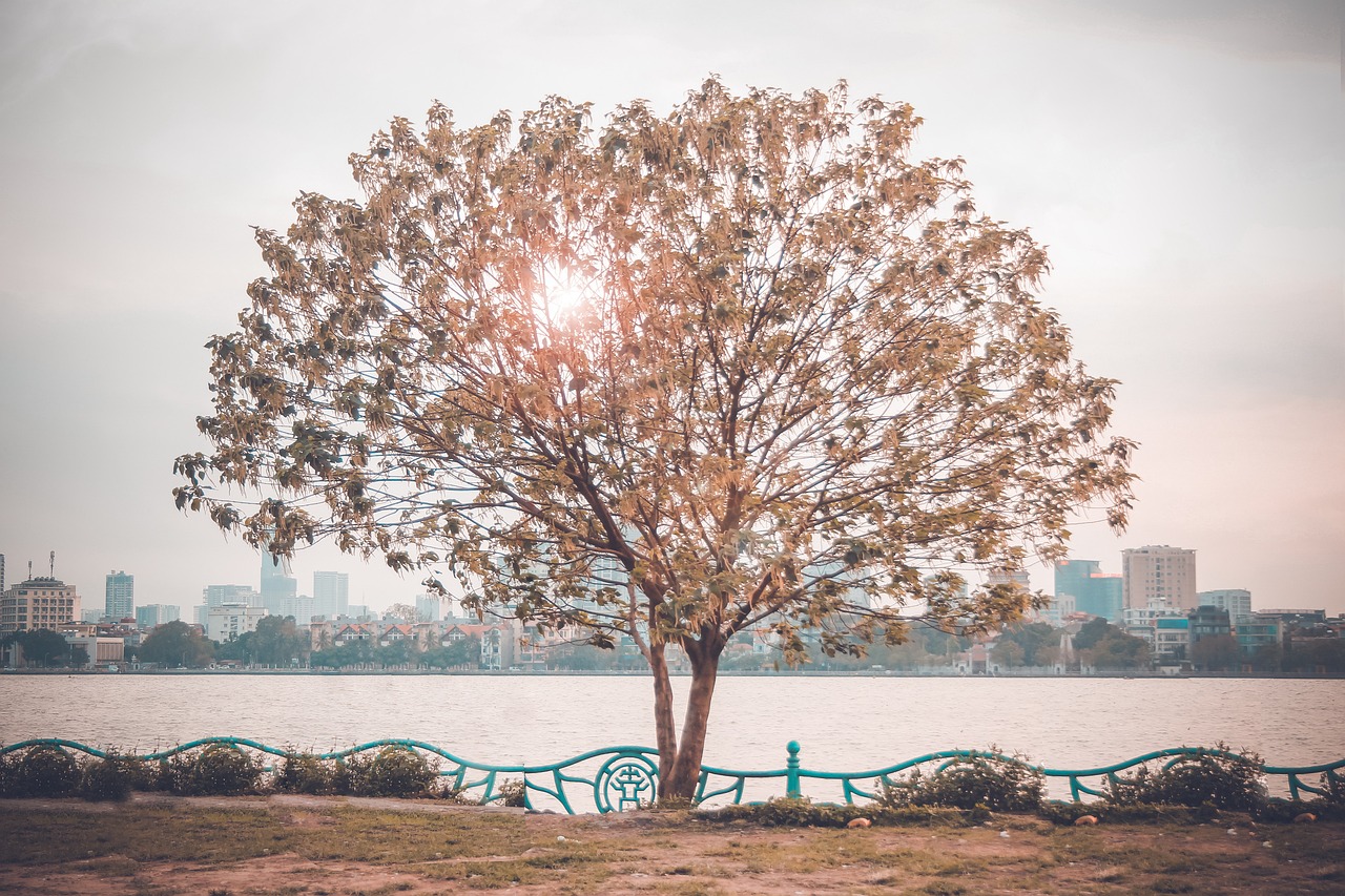 Cách bao sái bát hương sau Thanh Minh 2026 để không bị mất lộc