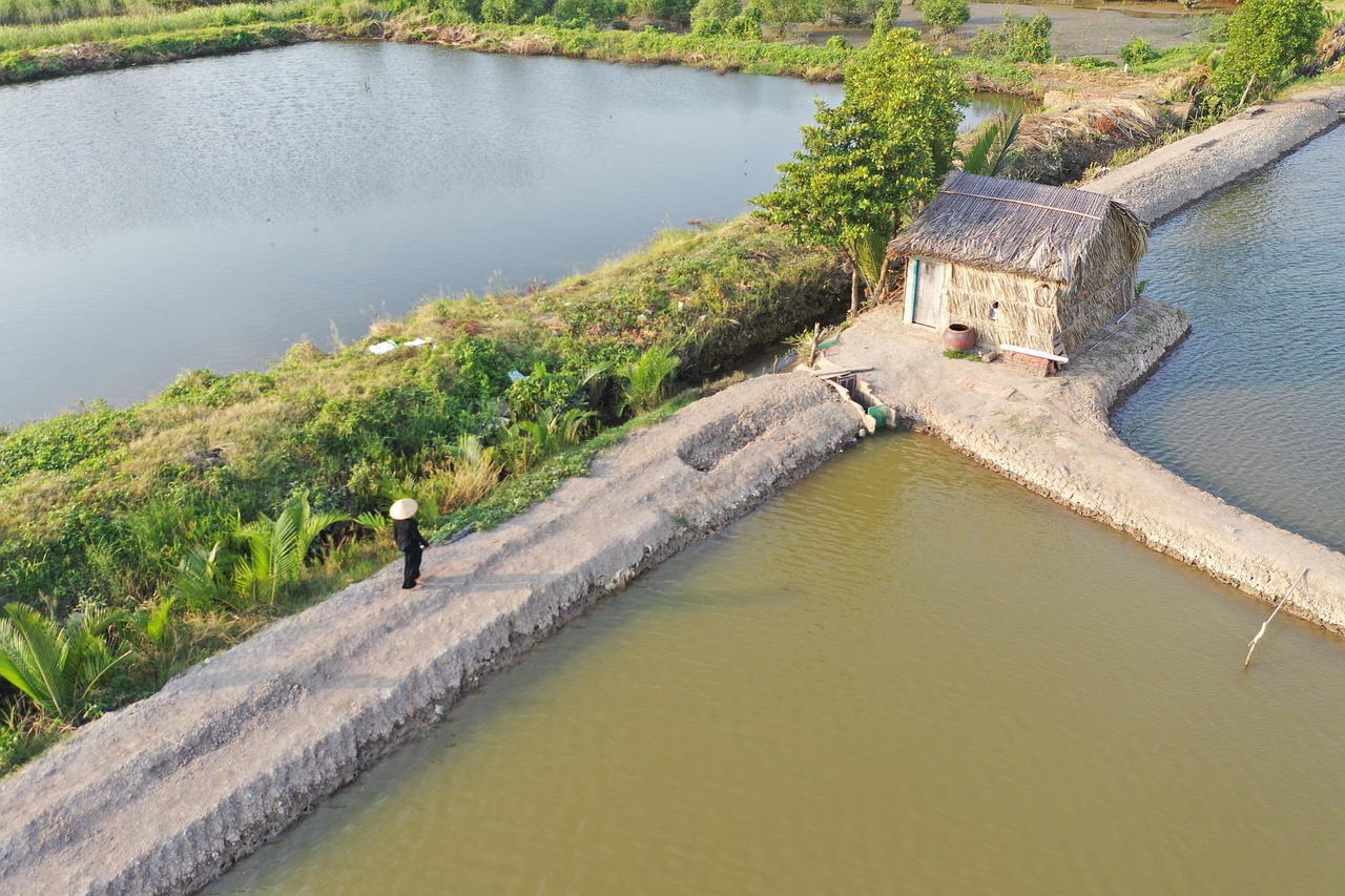 Tháng 3 âm lịch 2026: 3 con giáp cần đề phòng mất trộm, hao tài